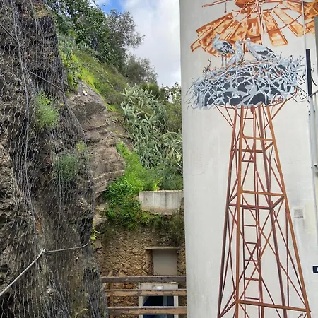 Amazigh Design Hostel