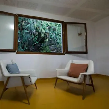 Vandrerhjem Amazigh Ensuite & Dorms With Shared Kitchen *