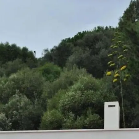 Amazigh Ensuite & Dorms With Shared Kitchen Aljezur